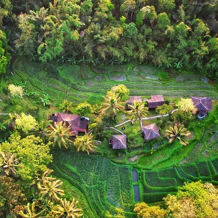 Oemah Tepi Sawah Villa Jatiluwih Luaran gambar