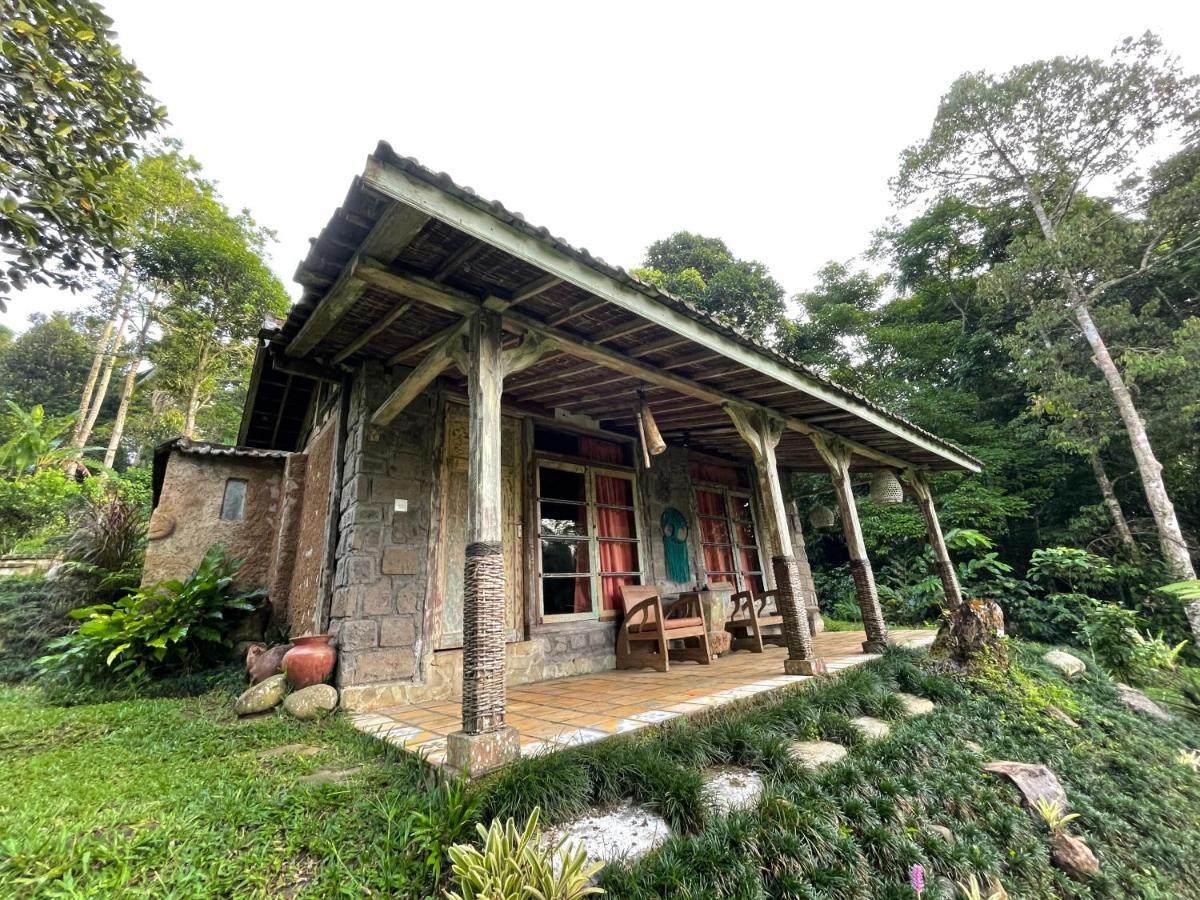 Oemah Tepi Sawah Villa Jatiluwih Luaran gambar