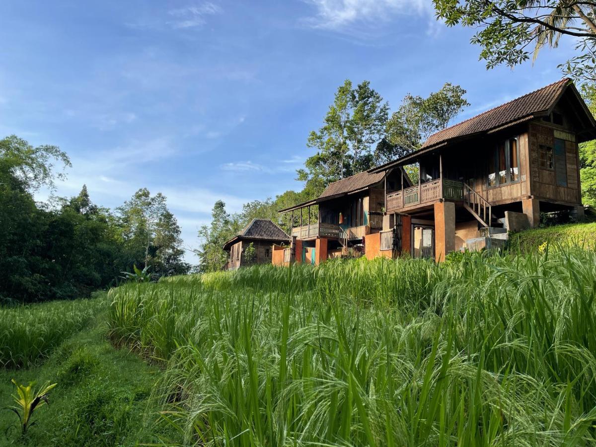 Oemah Tepi Sawah Villa Jatiluwih Luaran gambar