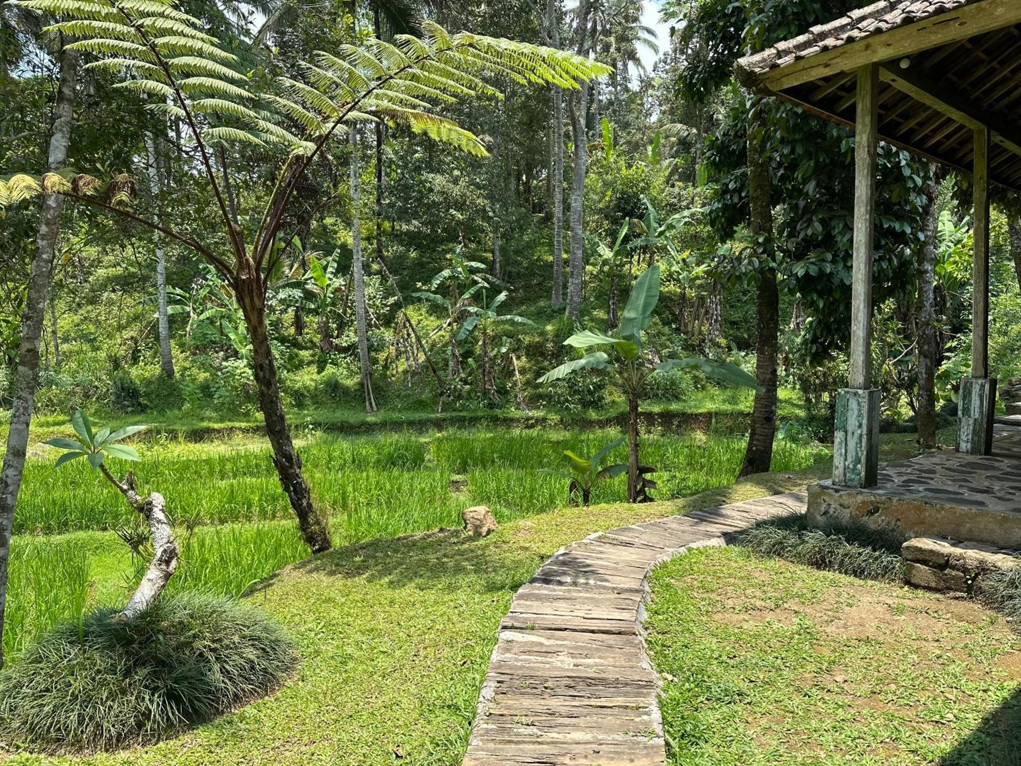 Oemah Tepi Sawah Villa Jatiluwih Luaran gambar