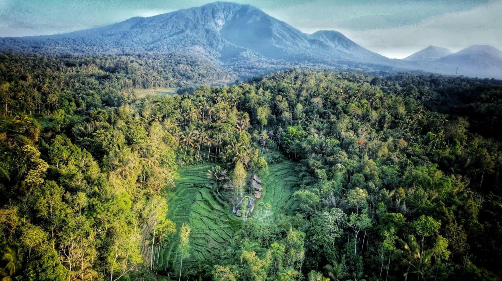 Oemah Tepi Sawah Villa Jatiluwih Luaran gambar