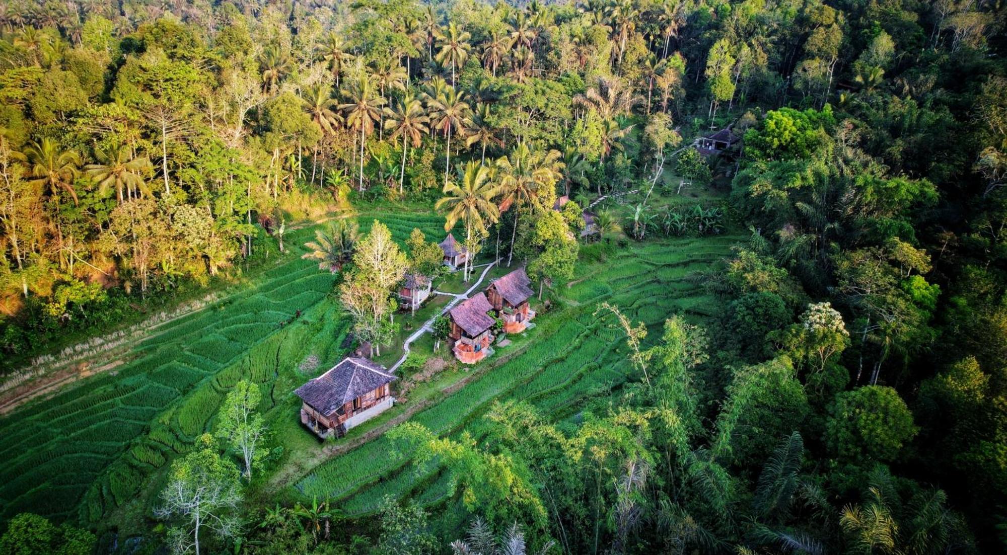 Oemah Tepi Sawah Villa Jatiluwih Luaran gambar