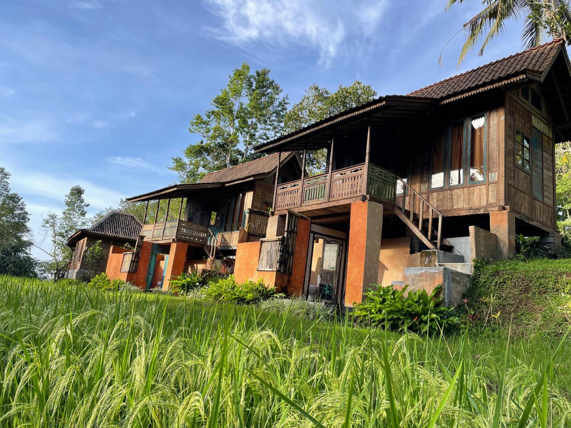 Oemah Tepi Sawah Villa Jatiluwih Luaran gambar